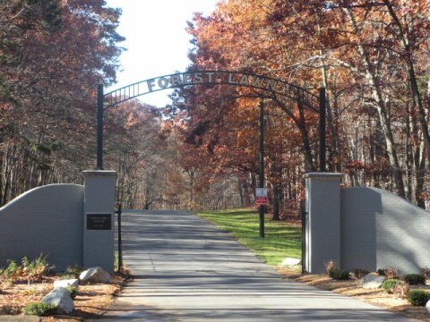 Forest Lawn Cemetery